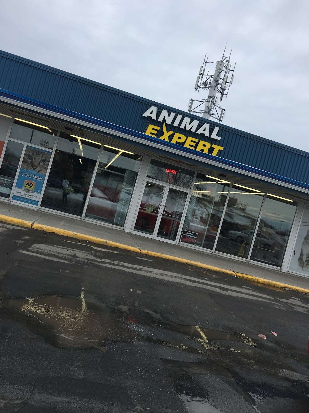Animal Expert