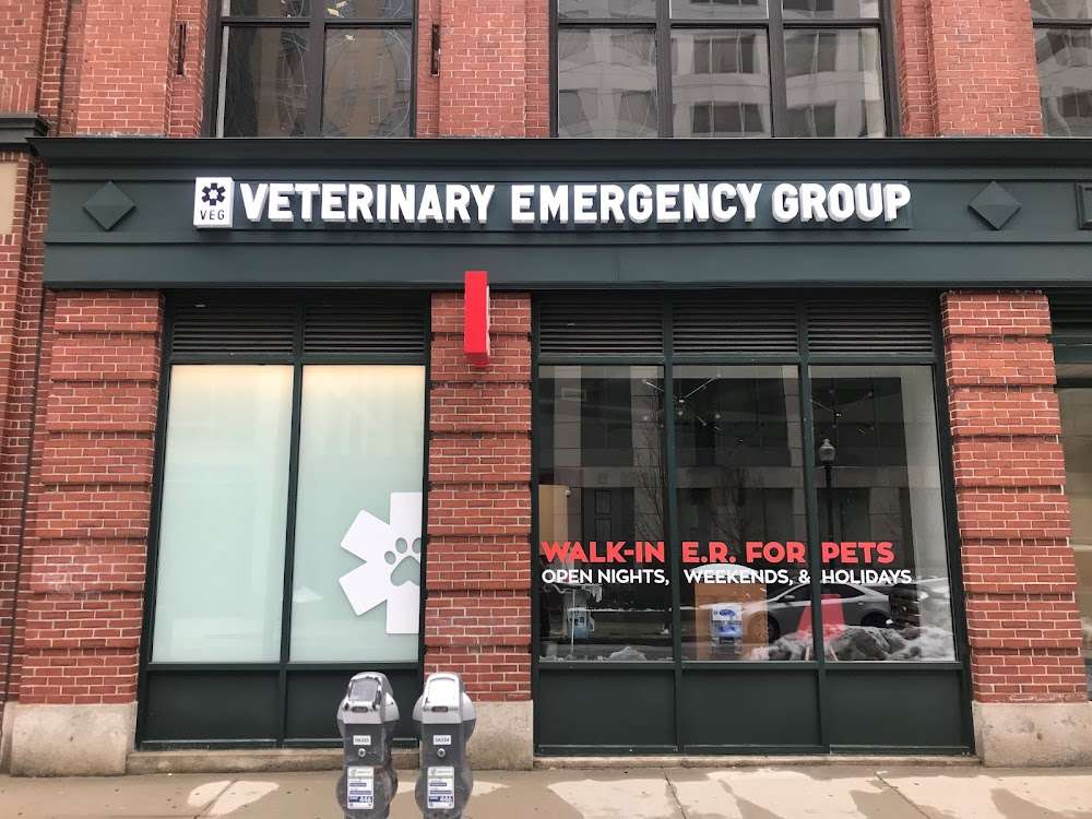 Veterinary Emergency Group